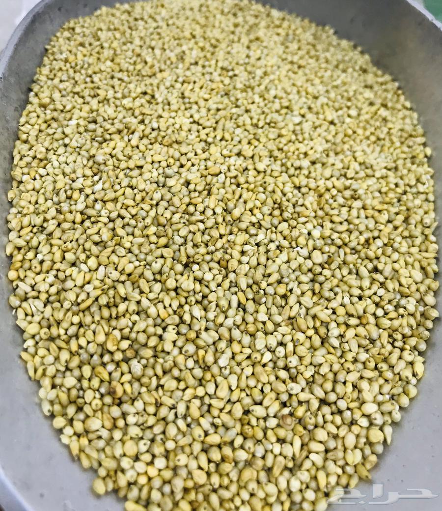 دخن بيضان الاصلي خواضه64549457925635113