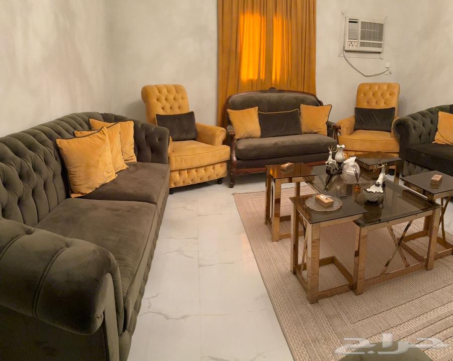 New sofa, fresh foam, Mahmoud Saed64544720312066110