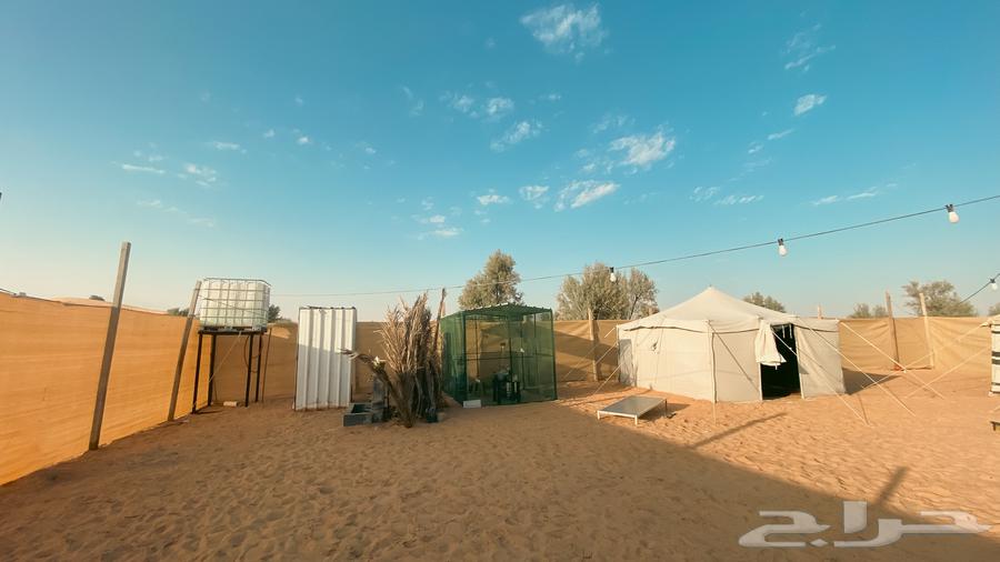 للبيع مخيم64549833104898112