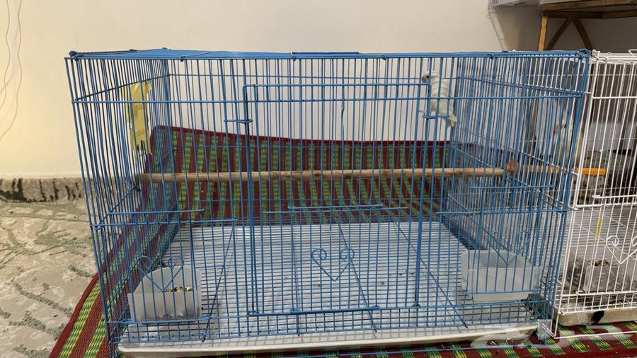 قفص كبير للبيع64547708155521111