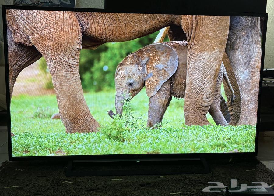 للبيع تلفزيون شاشه سوني 5064550217362818111