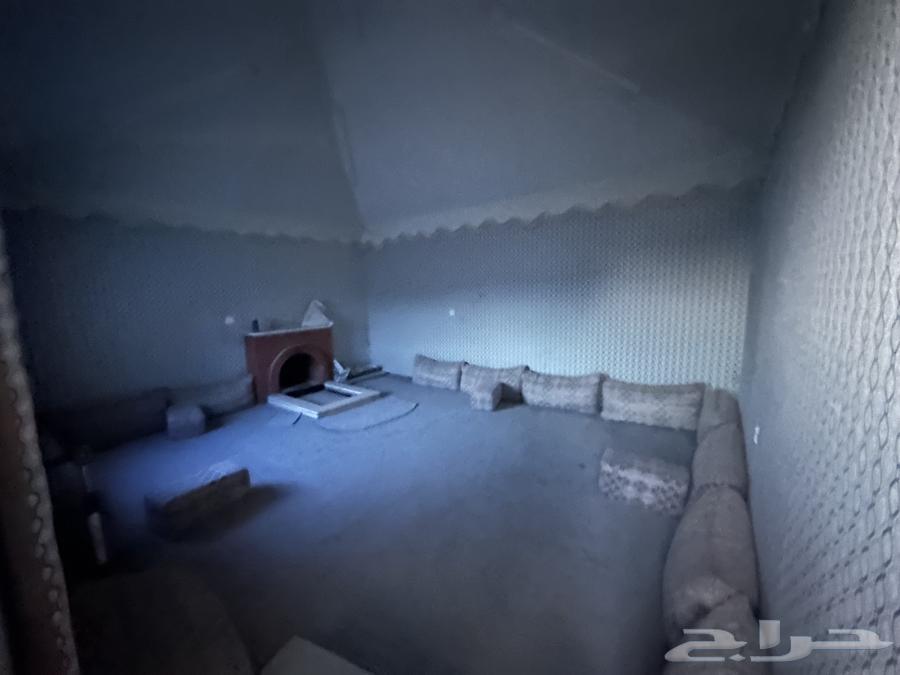 Tent64550203143810111