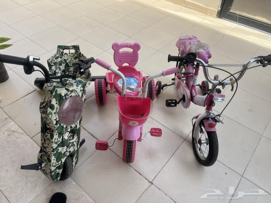 Degrees with scooter64547541534723110