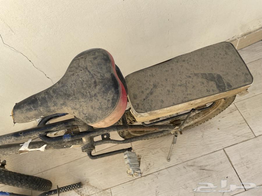 سيكل للبيع رامبو يباني64552177688705110