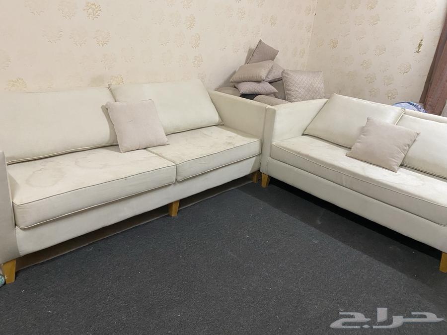 Two types of sofas64548952859779111