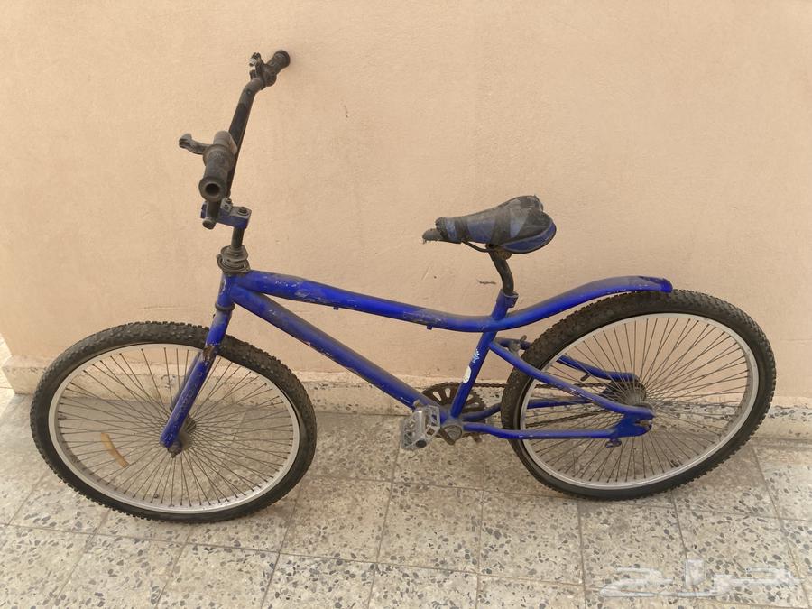 Bicycle (Cycle)64551161555073110