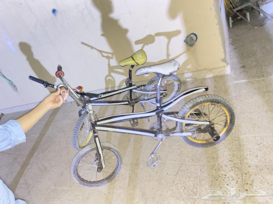 Cycle 16 Two64551862462977113