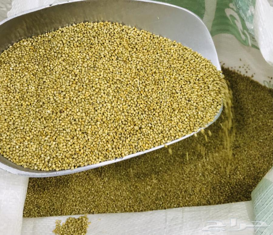 دخن بيضان الاصلي خواضه64549457925635111