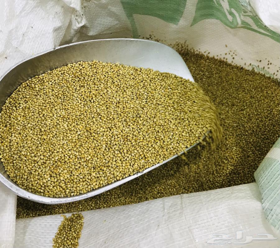 دخن بيضان الاصلي خواضه64549457925635110