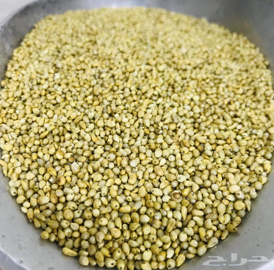 دخن بيضان الاصلي خواضه64549457925635114