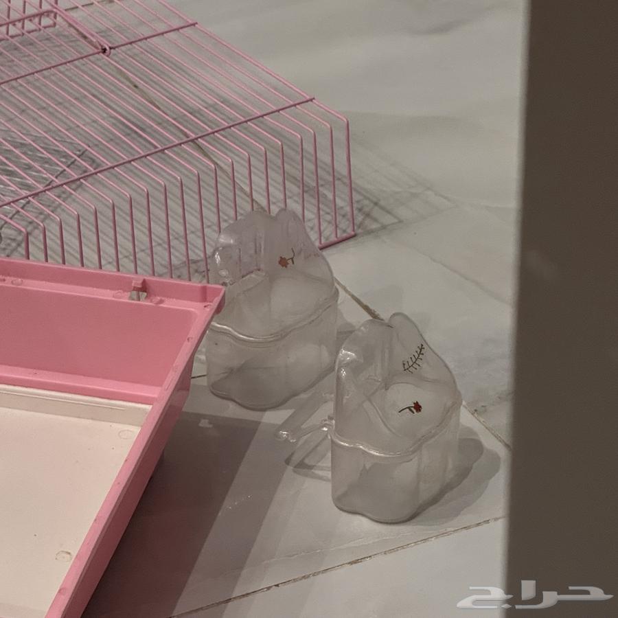 قفص طيور64552491363843110