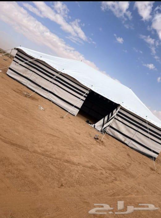 بيوت شعر البيض جميع المقصات64550396150017110