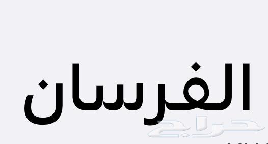 100 ألف اميال الفرسان للبيع64545870398723110