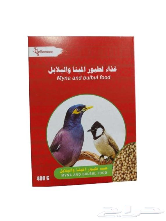 اكل المينو والبلابل64545048222977110