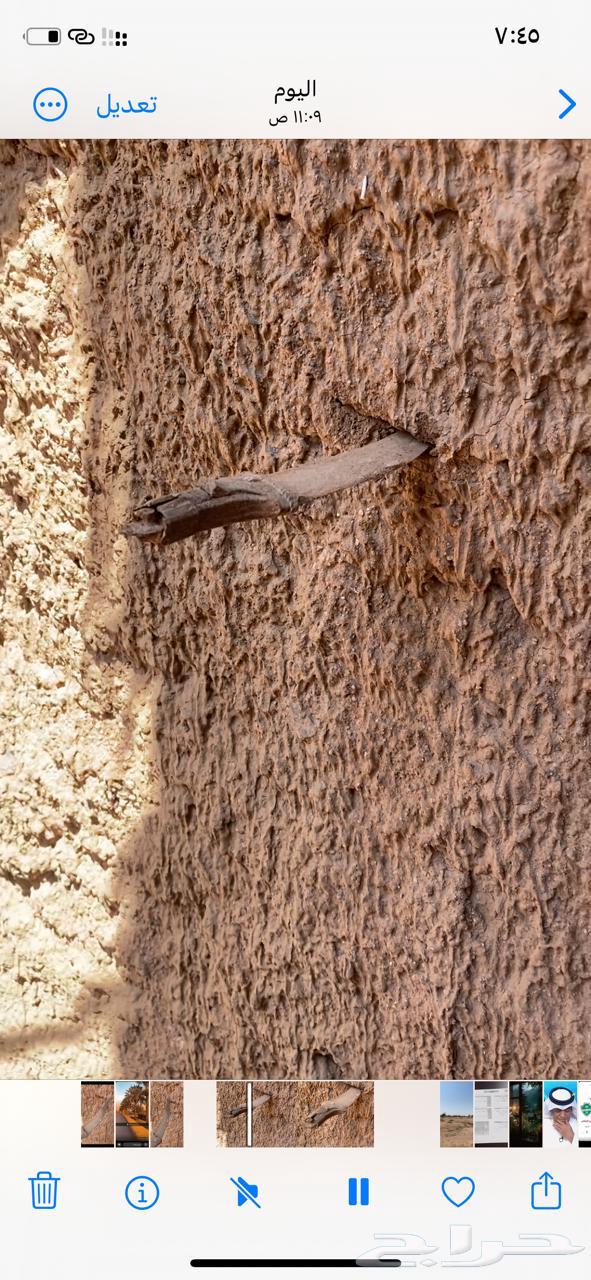 قديمي قديمه للبيع64551219464065112