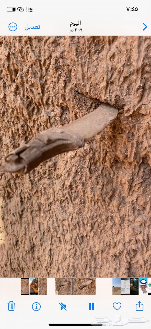 قديمي قديمه للبيع64551219464065111