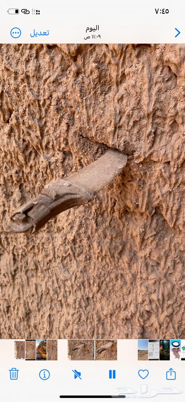 قديمي قديمه للبيع64551219464065110