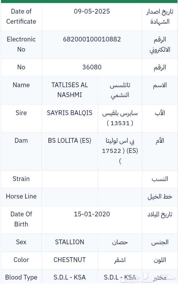 خيل للبيع64548547403266112