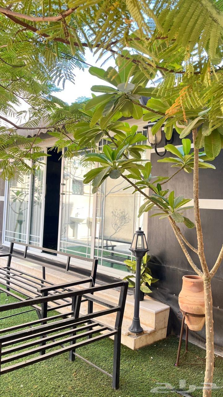 خيمه للبيع64547763129985111