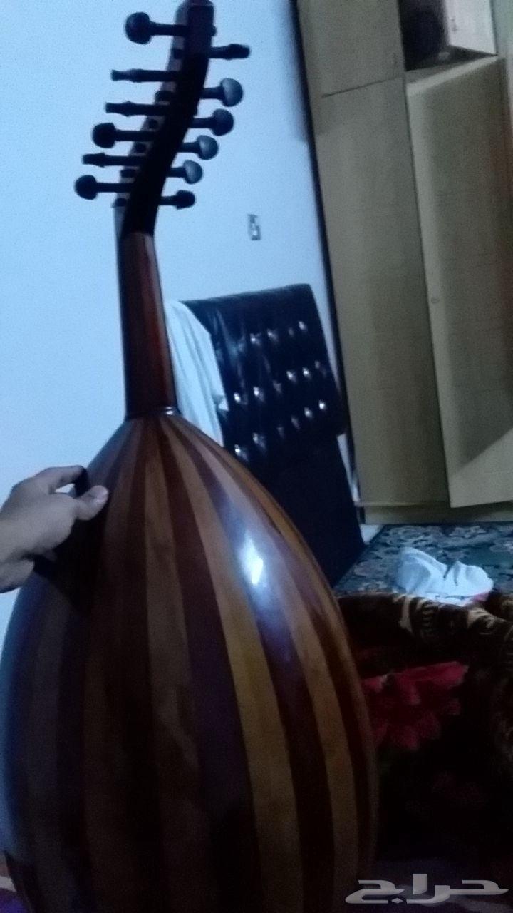 عود خليجي64547610973314111