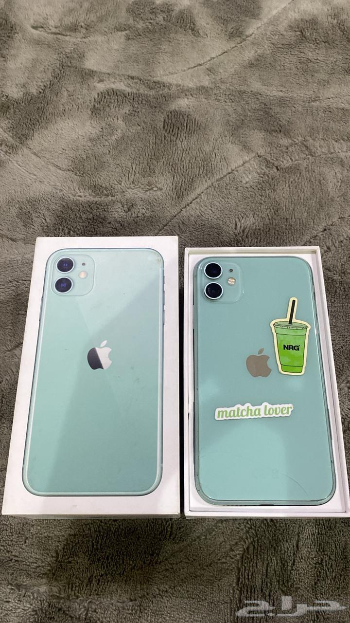 iPhone 11 Regular64552220812929110