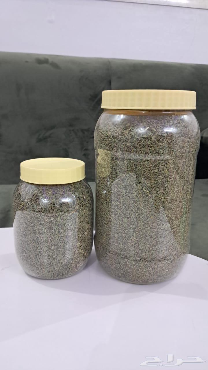 سنوت بلدي قطفة السنه هذي ونظيف64546498513921110