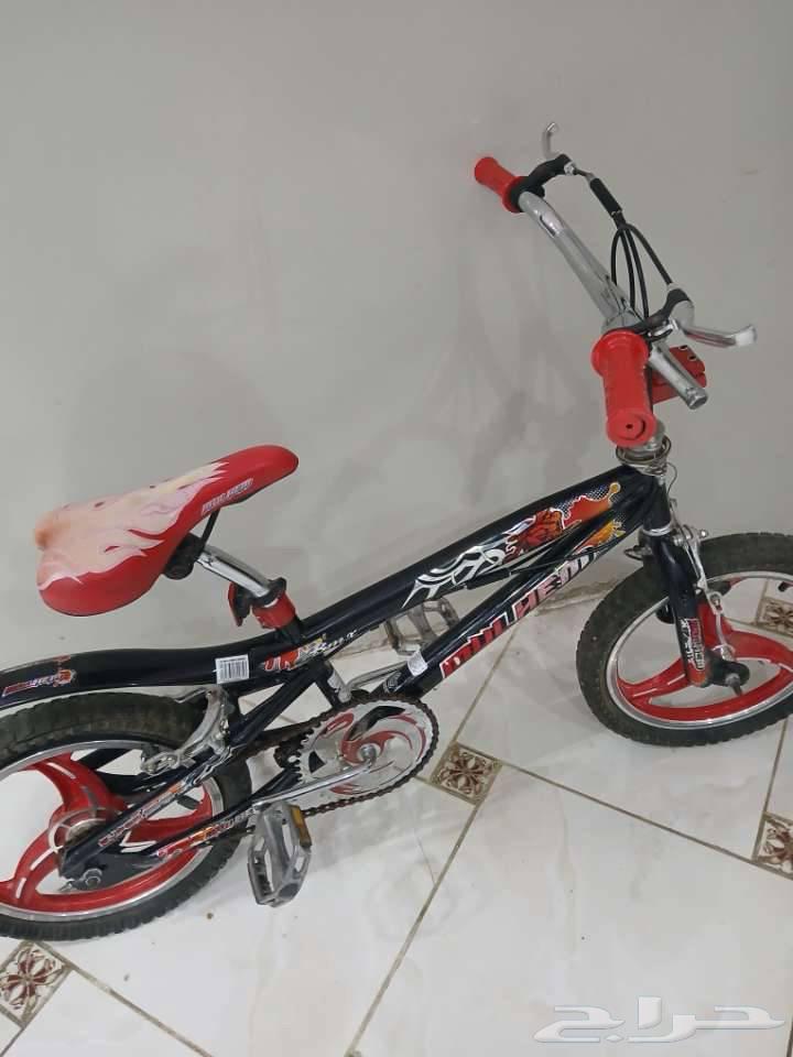 Cyclone Cobra64551076339202110