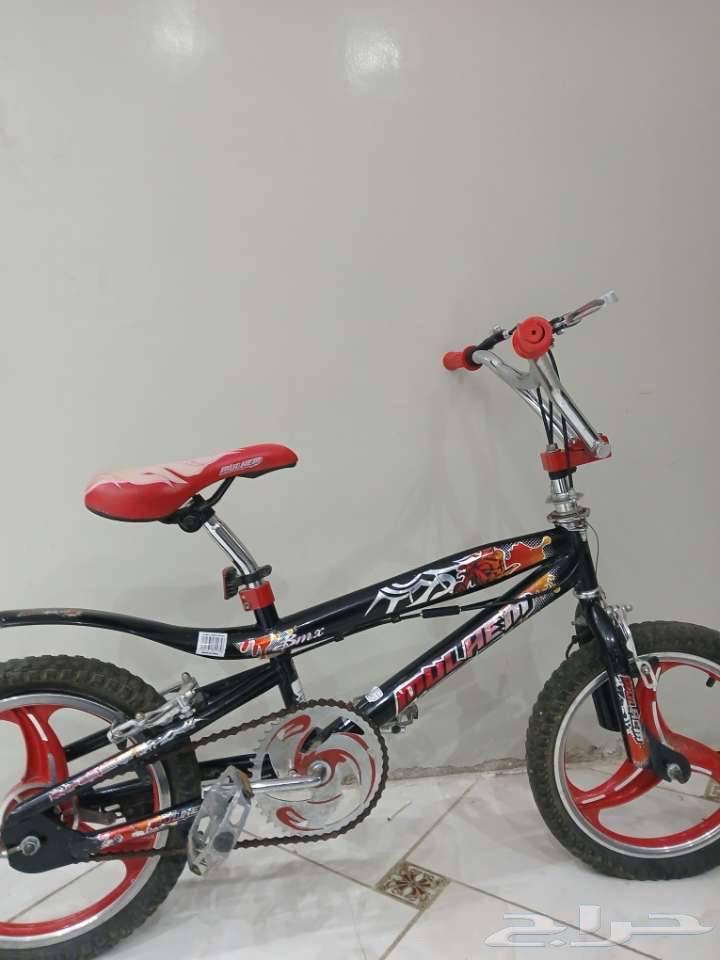 Cyclone Cobra64551076339202111