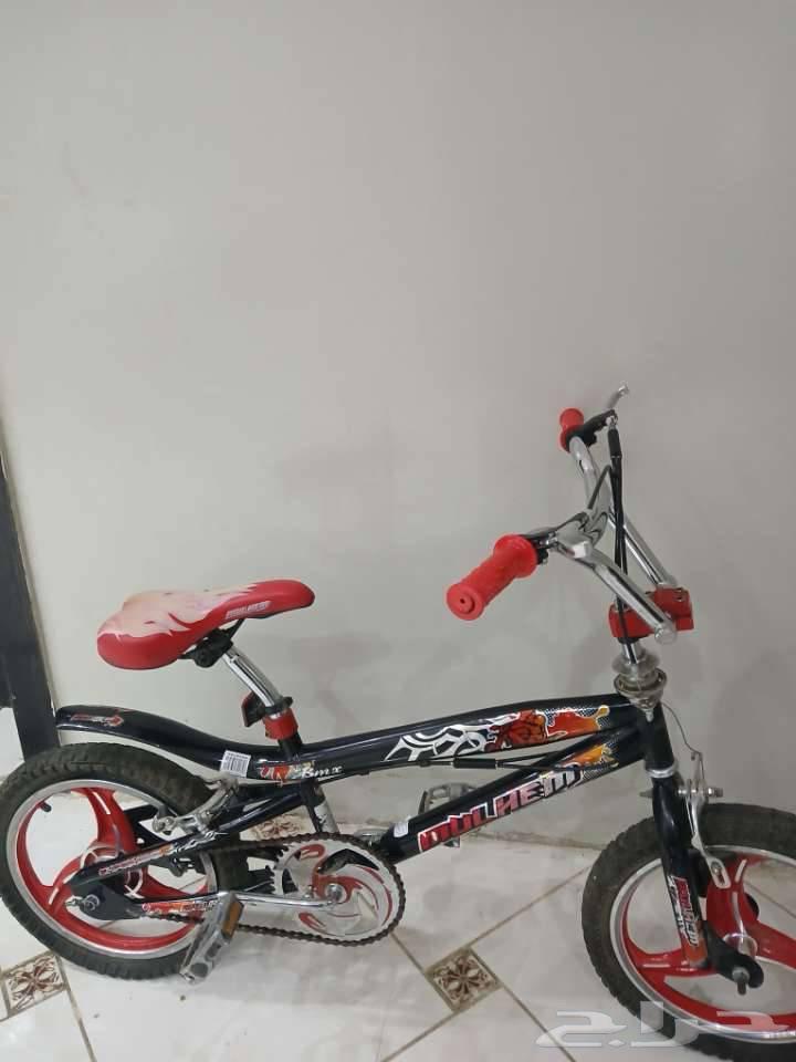 Cyclone Cobra64551076339202112