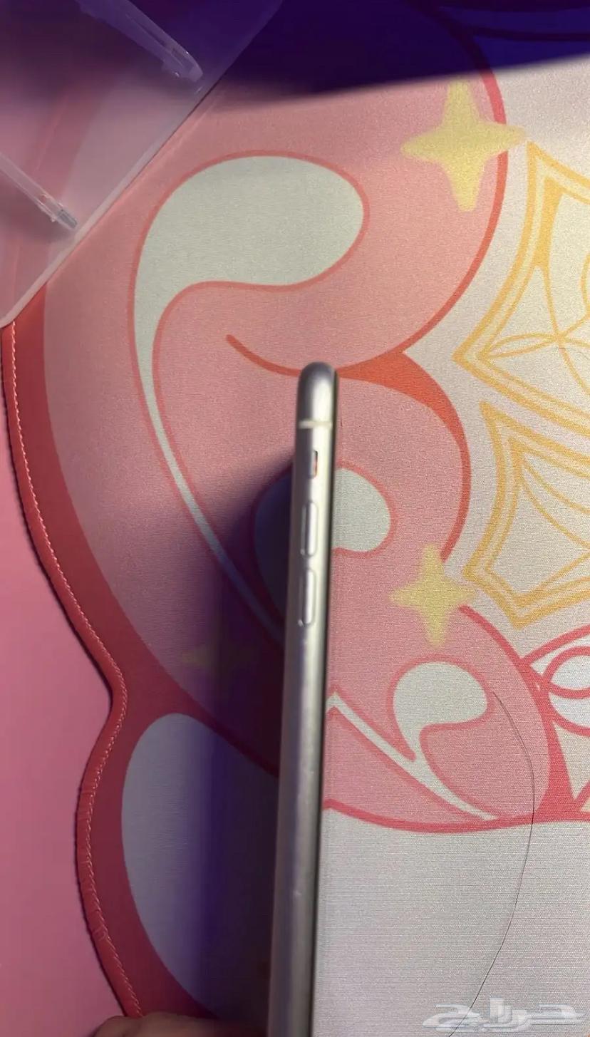 iPhone 11 Regular64553384566017112