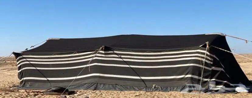 بيت شعر للبيع نظيف64411527375235111