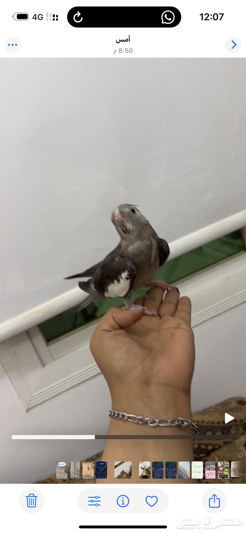 البيع سوم 40064551119069827111