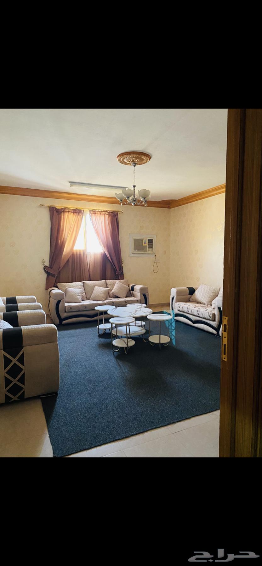 Two types of sofas64548952859779113