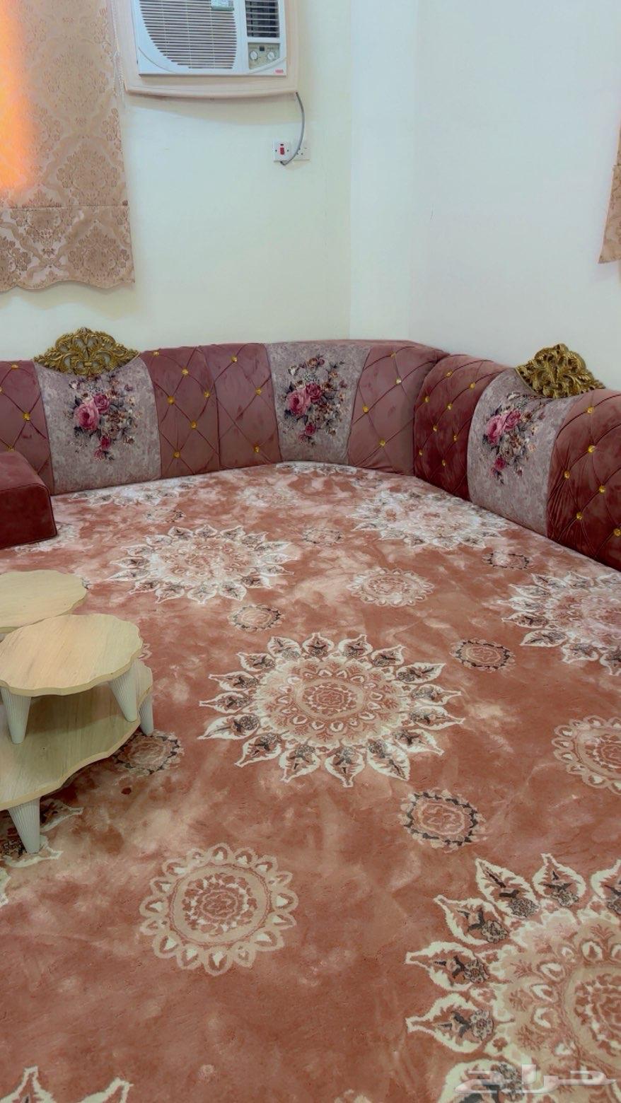 Clean document and light hiring64544820443266111