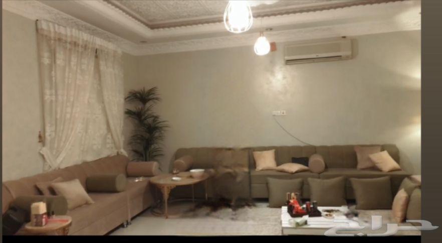 كنب مجلس النساء64553044359171110