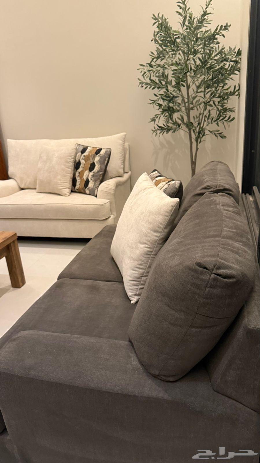 كنب امريكي اشلي64507739021441111