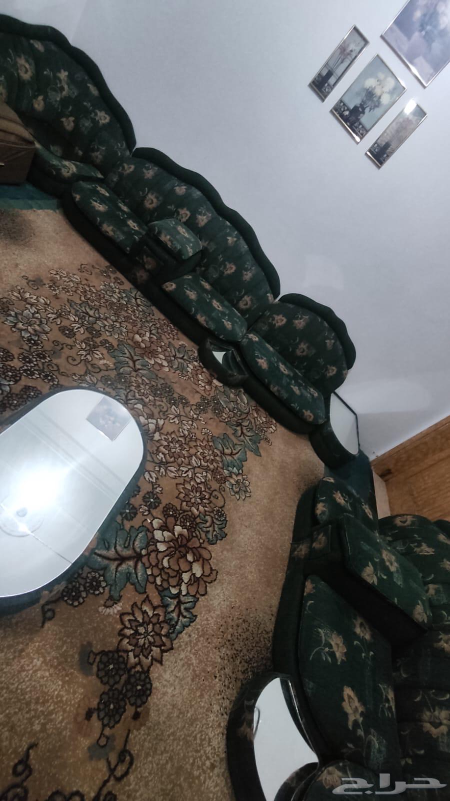 Floor sofa for sale with two mattresses and carpet64551705181185113