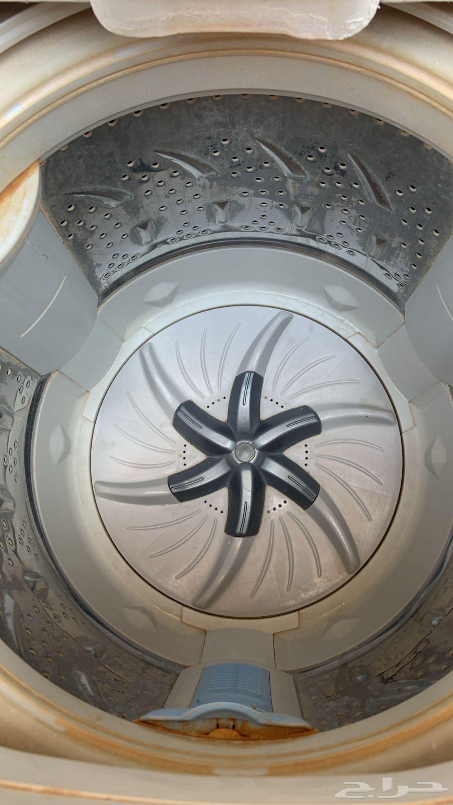 غساله للبيع توشيبا   عشب جداري64550902916994111