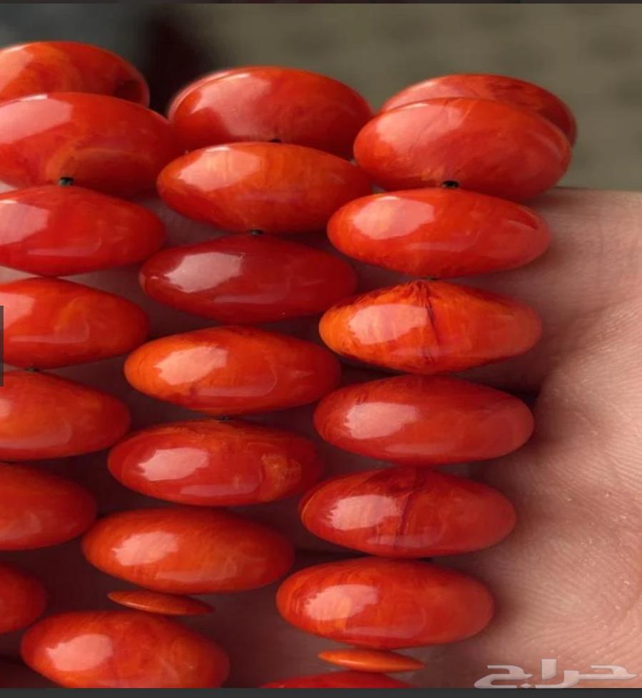 Swimming in Sweaty Island Invoices64546425280513112