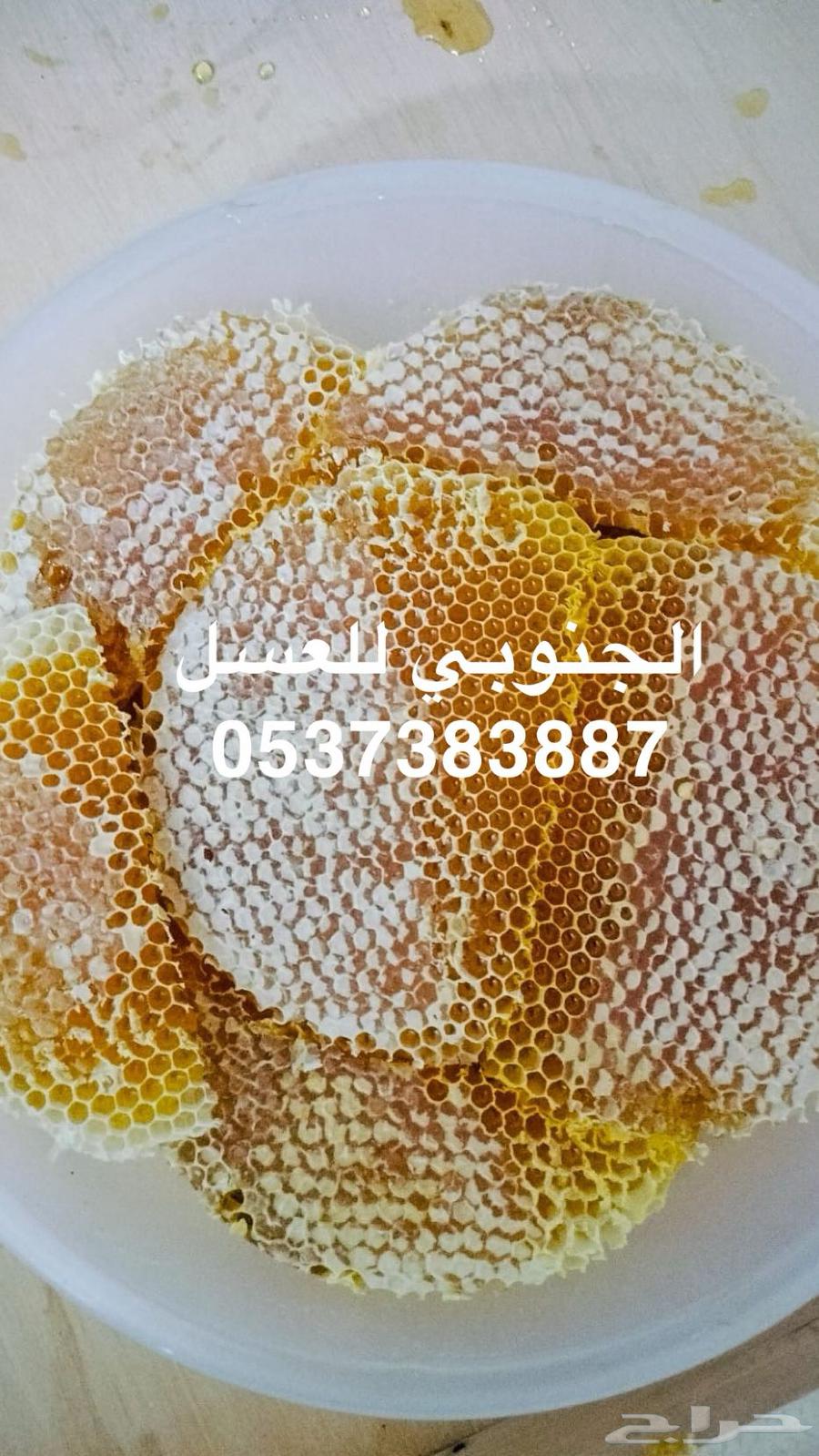 Premium Sidr Honey64544143118082113