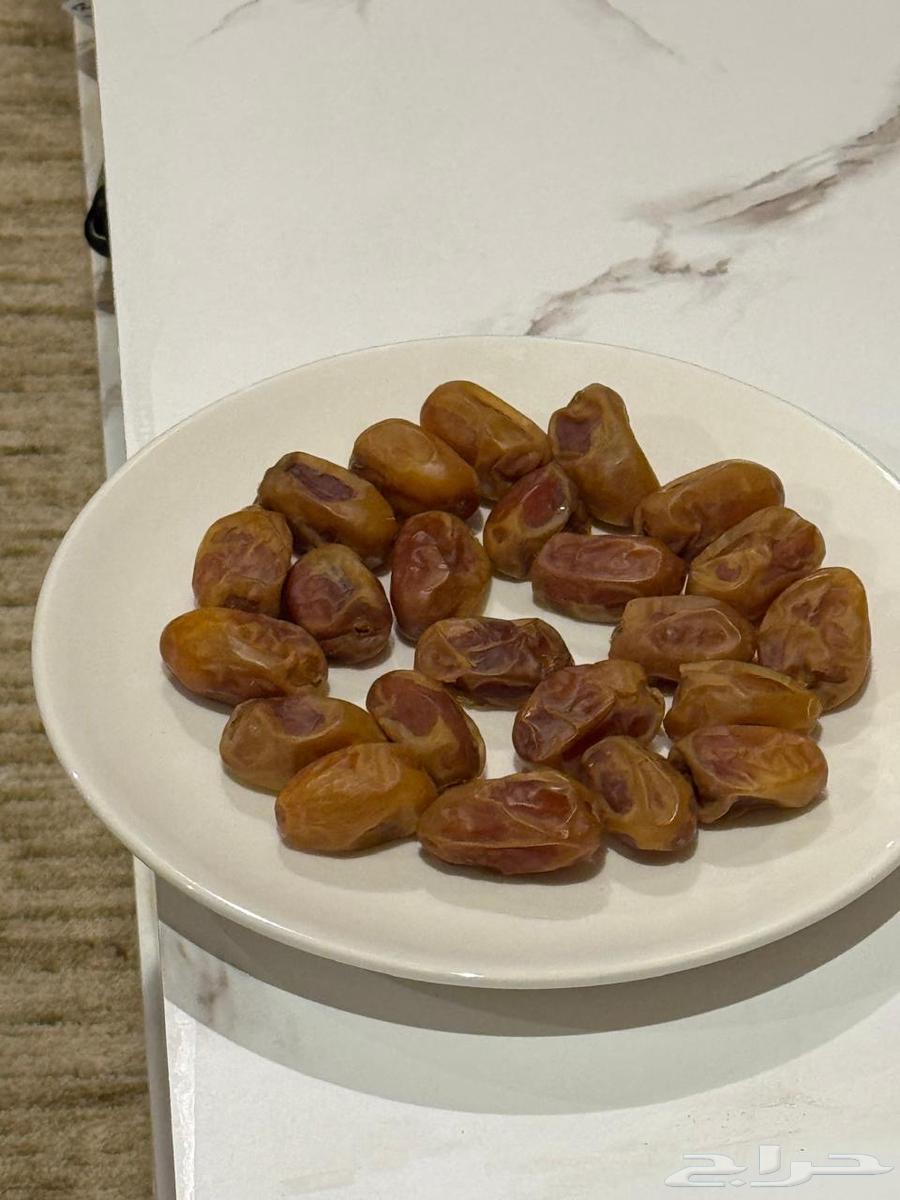 300 cartons of Khalas dates and bananas64544919411457110