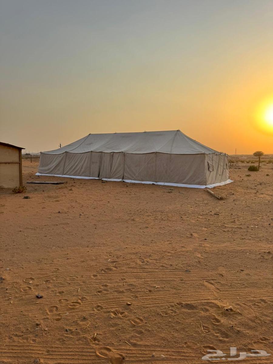 خيمة للبيع64550661558913110