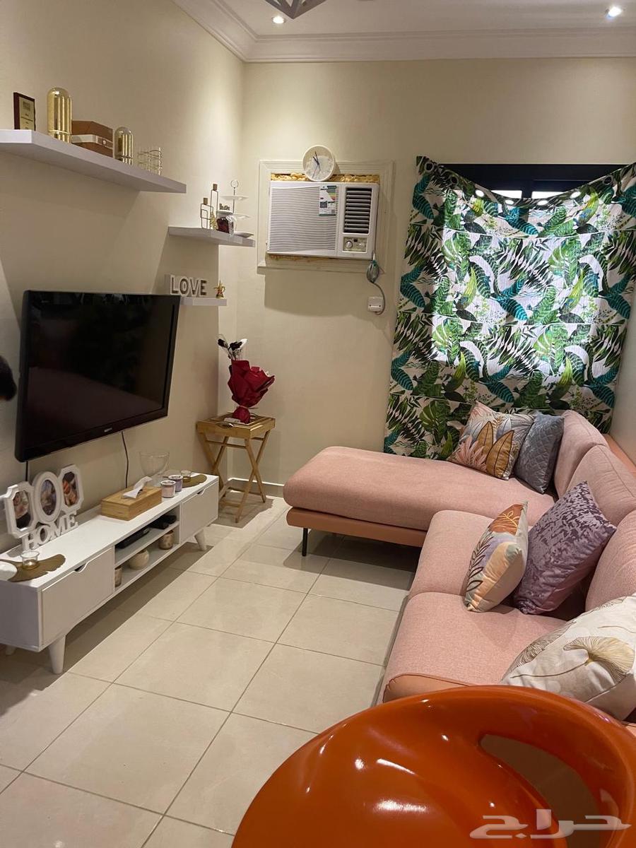 كنب زاوية64552859705859110