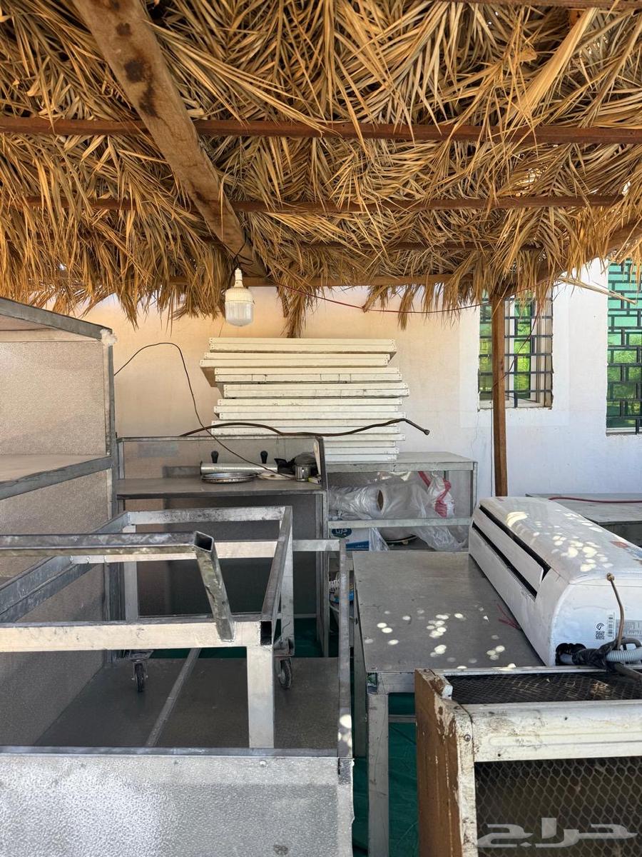 Buffet and Bakery Items64546470635523112