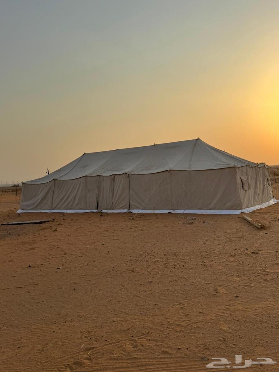 خيمة للبيع64550661558913111