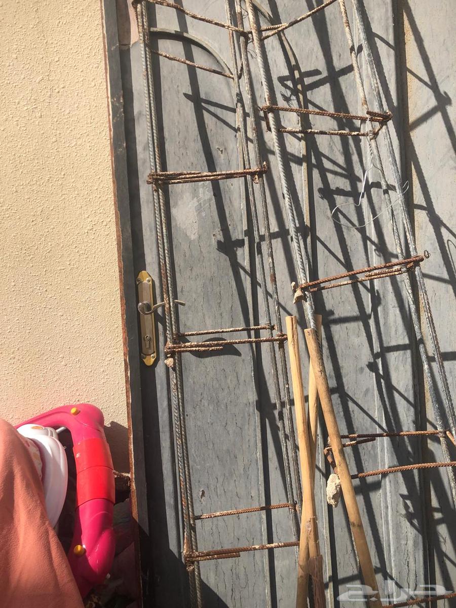 Come see them, change your mind, and then take them. Limit 28064545799937409113