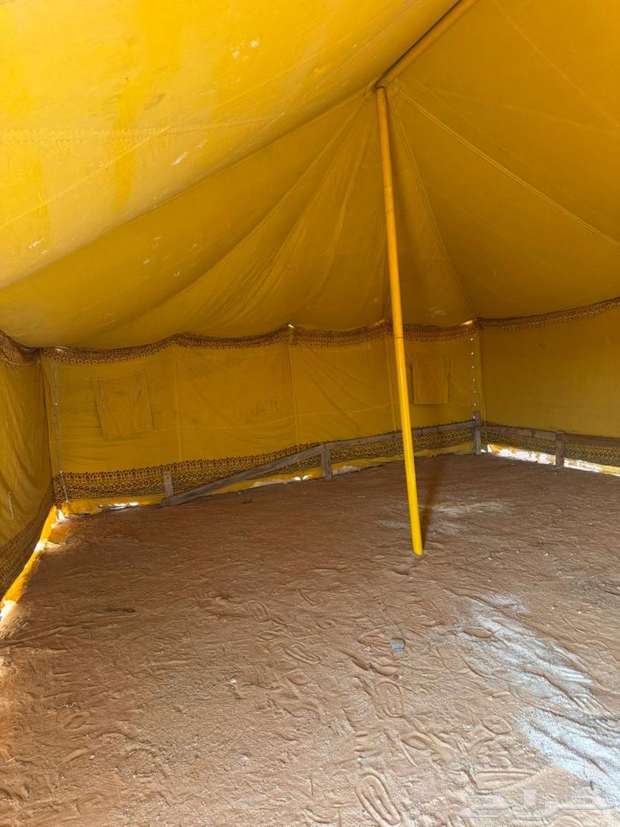 خيمة للبيع64550661558913113