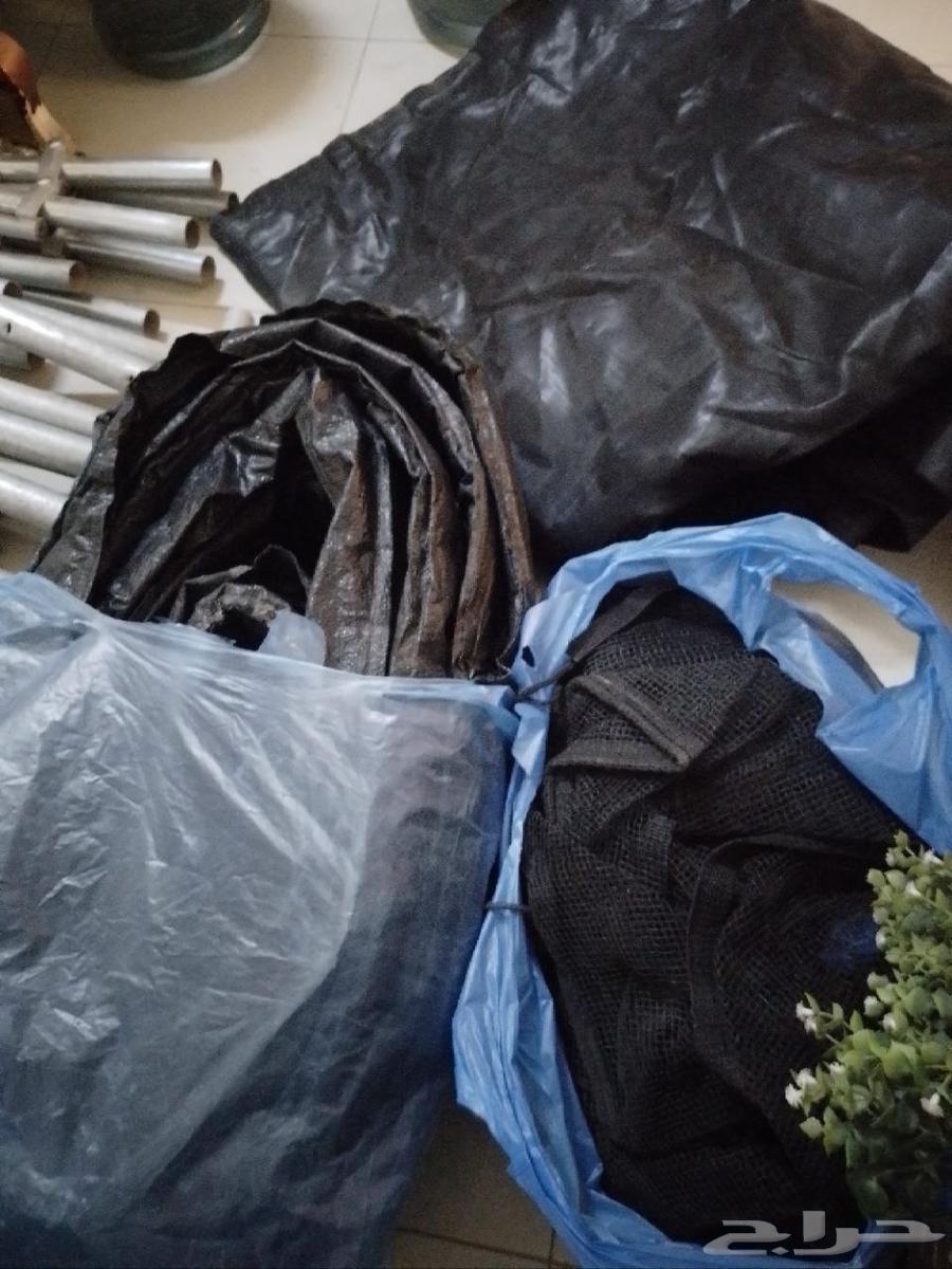 Ntita64552420627843111