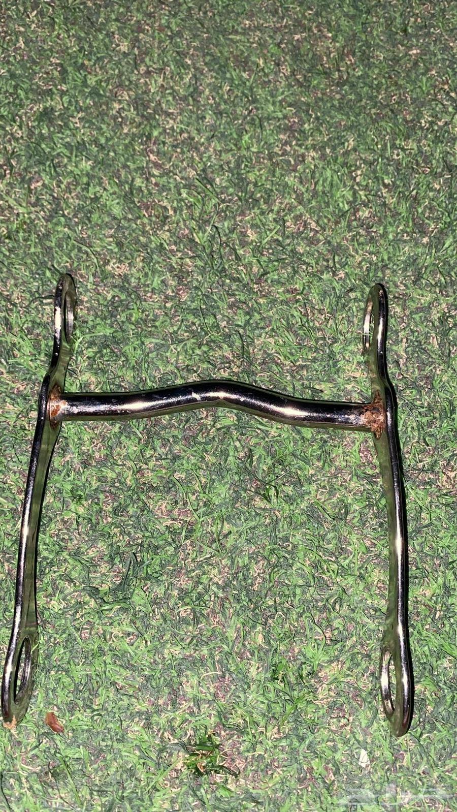 شكيمه بلهم64560248601603111