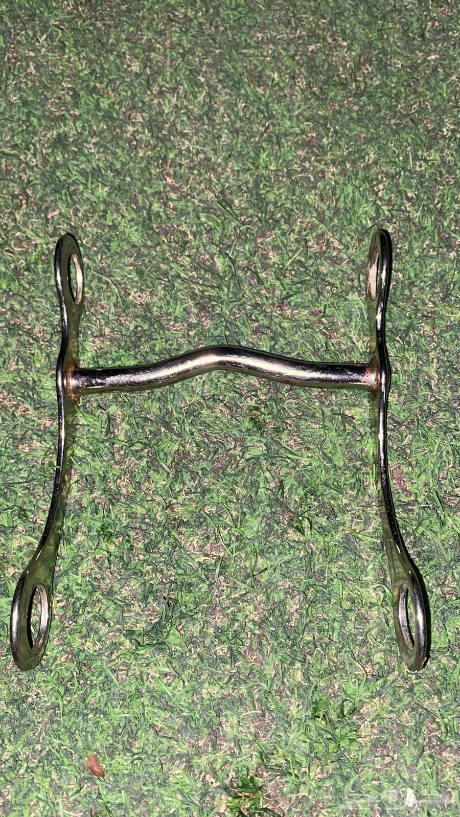 شكيمه بلهم64560248601603110